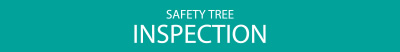 SAFETY TREE INSPECTION