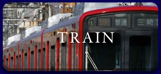 TRAIN
