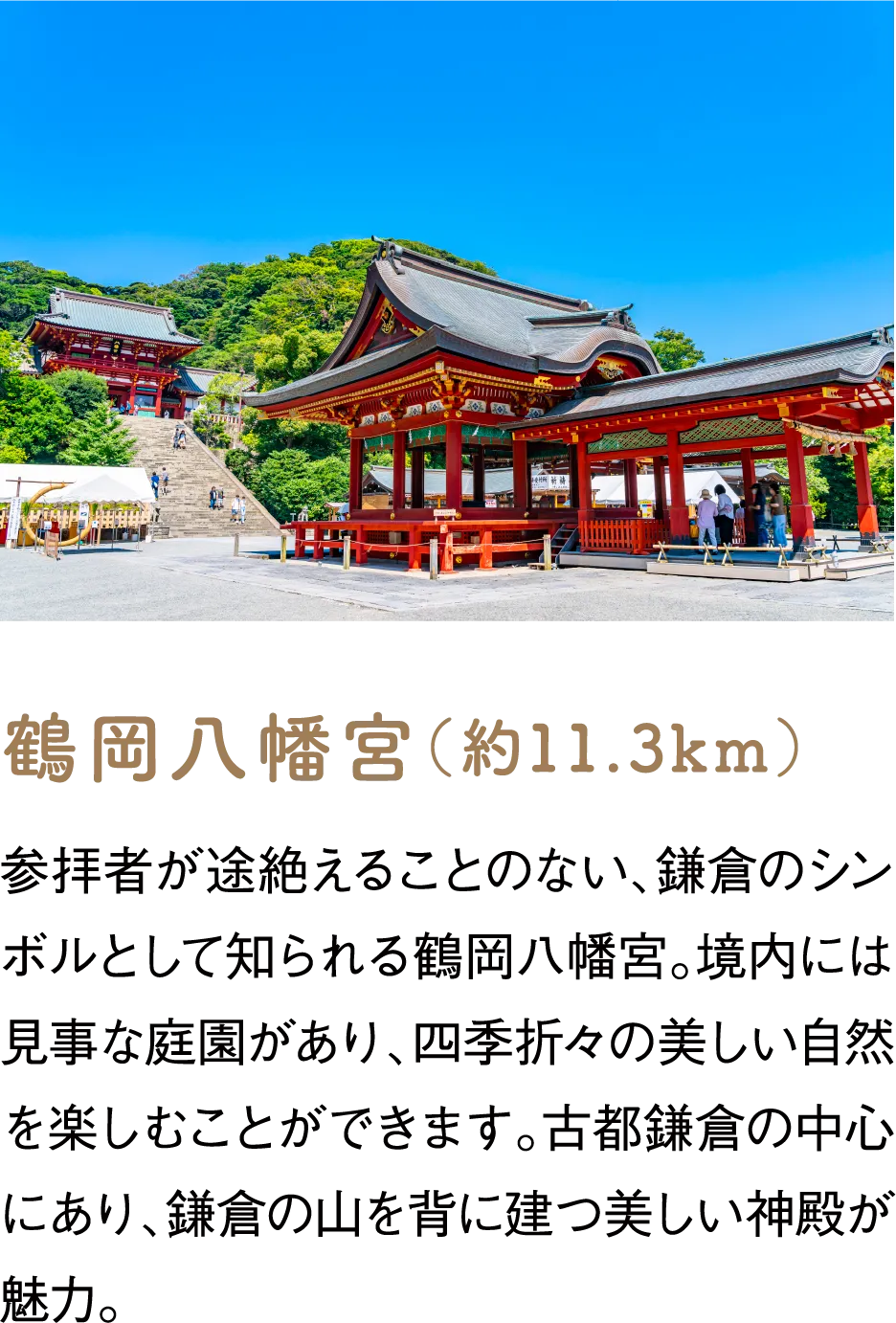 鶴岡八幡宮（約11.3km）