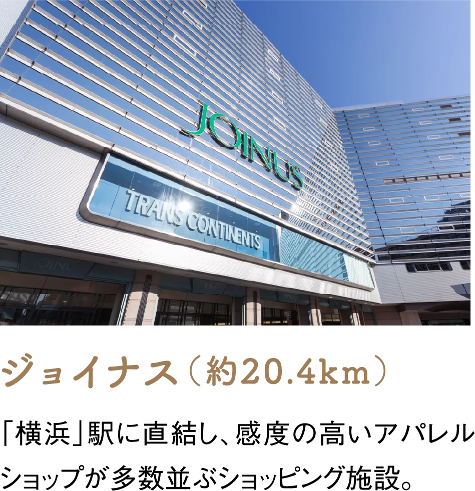 ジョイナス（約20.4km）