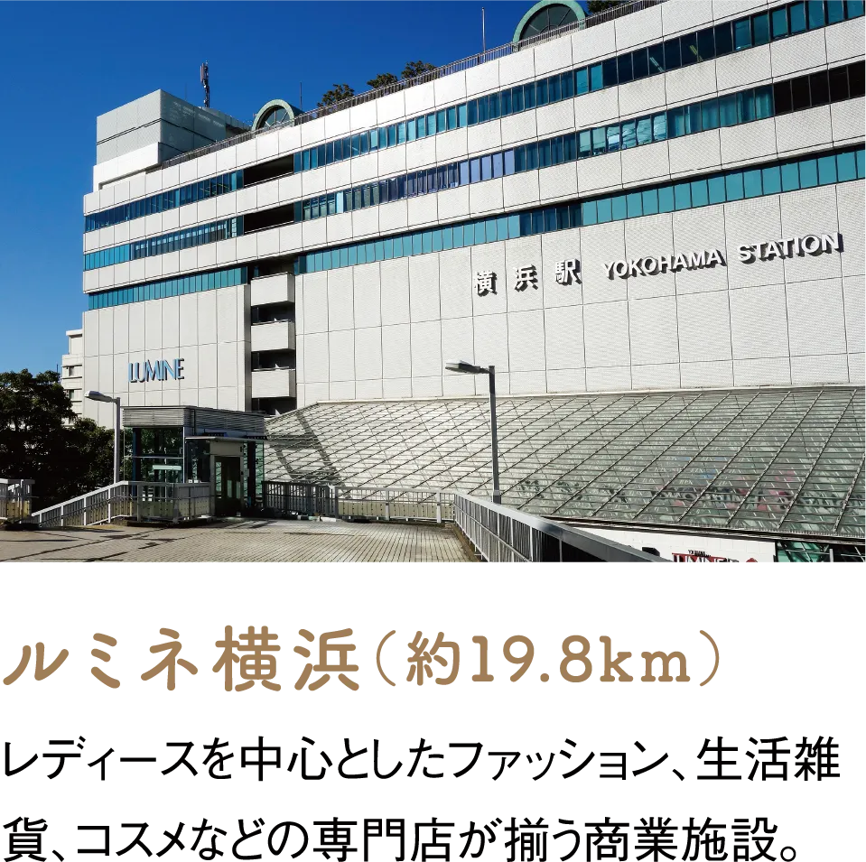 ルミネ横浜（約19.8km）