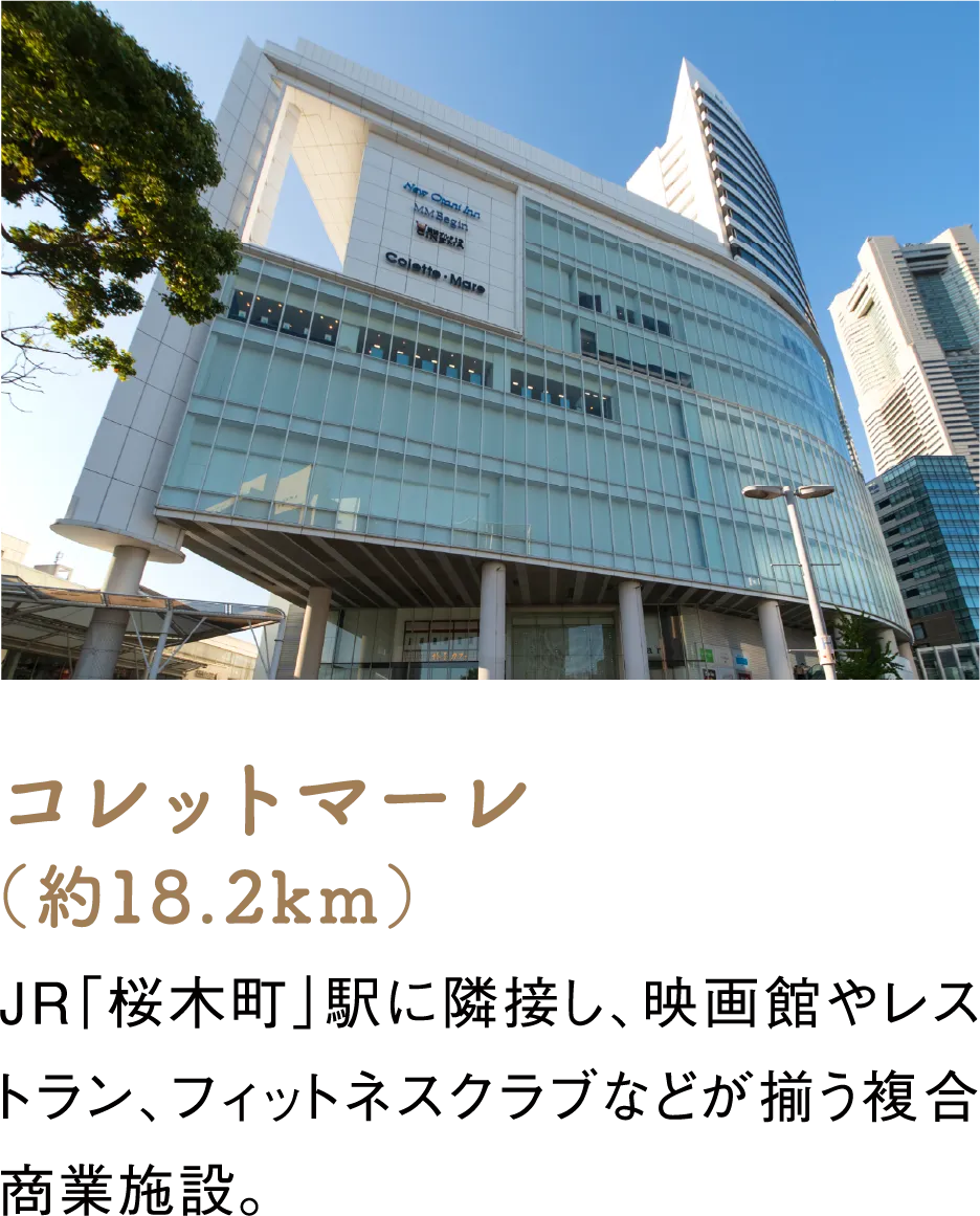 コレットマーレ（約18.2km）