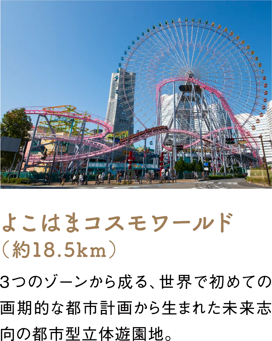 よこはまコスモワールド（約18.5km）