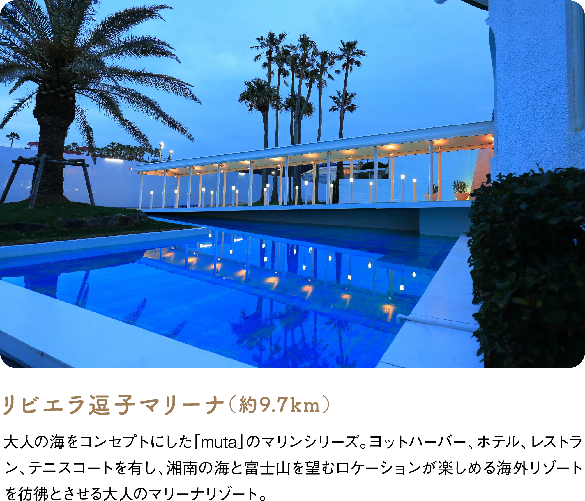 リビエラ逗子マリーナ（約9.7km）