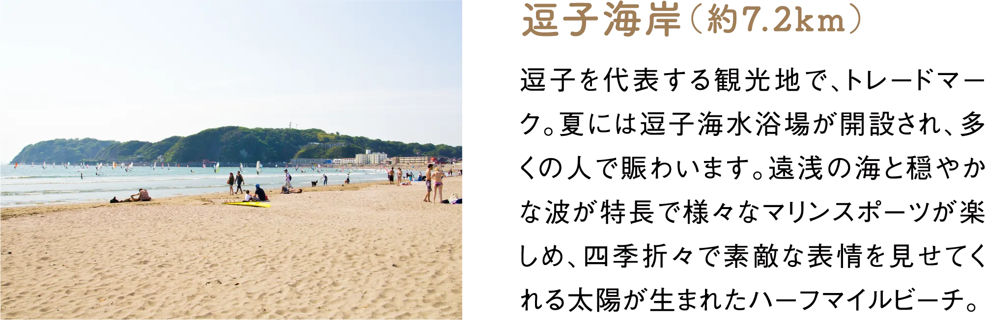 逗子海岸（約7.2km）