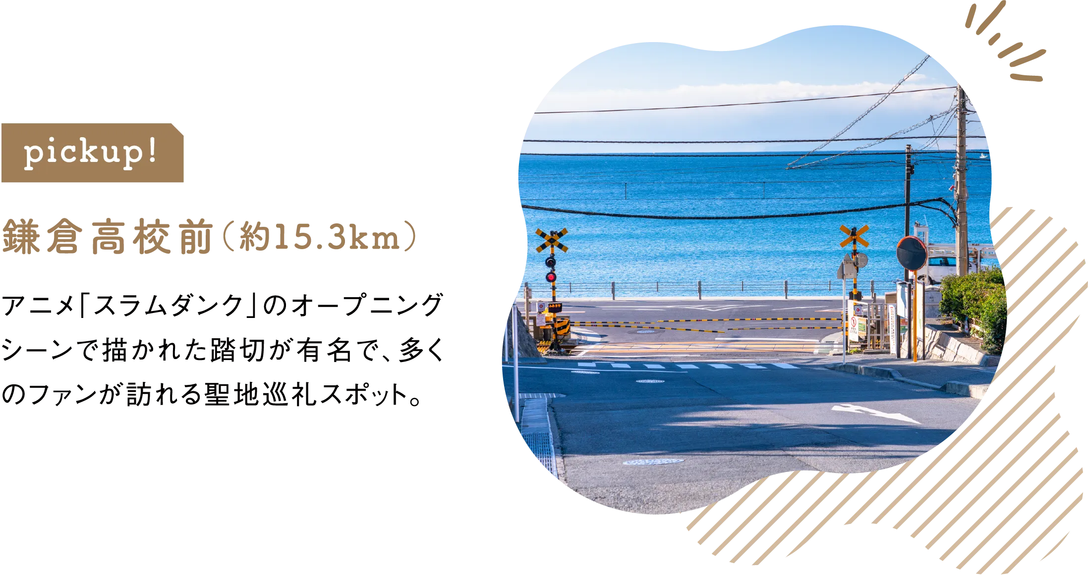 pickup! 鎌倉高校前（約15.3km）