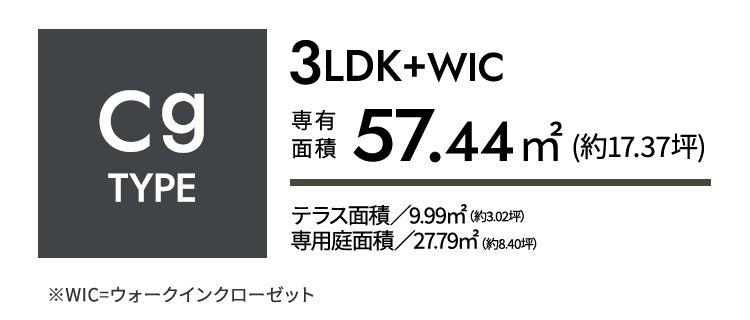 cg-type