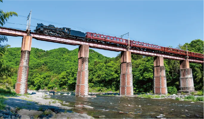 秩父鉄道SLパレオエクスプレス