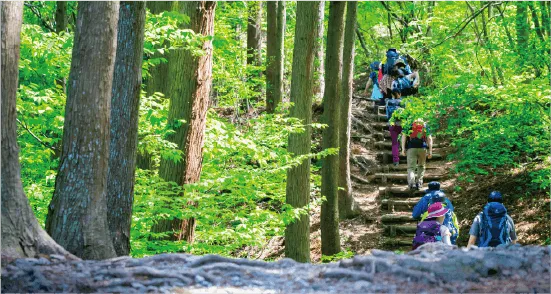秩父鉄道SLパレオエクスプレス
