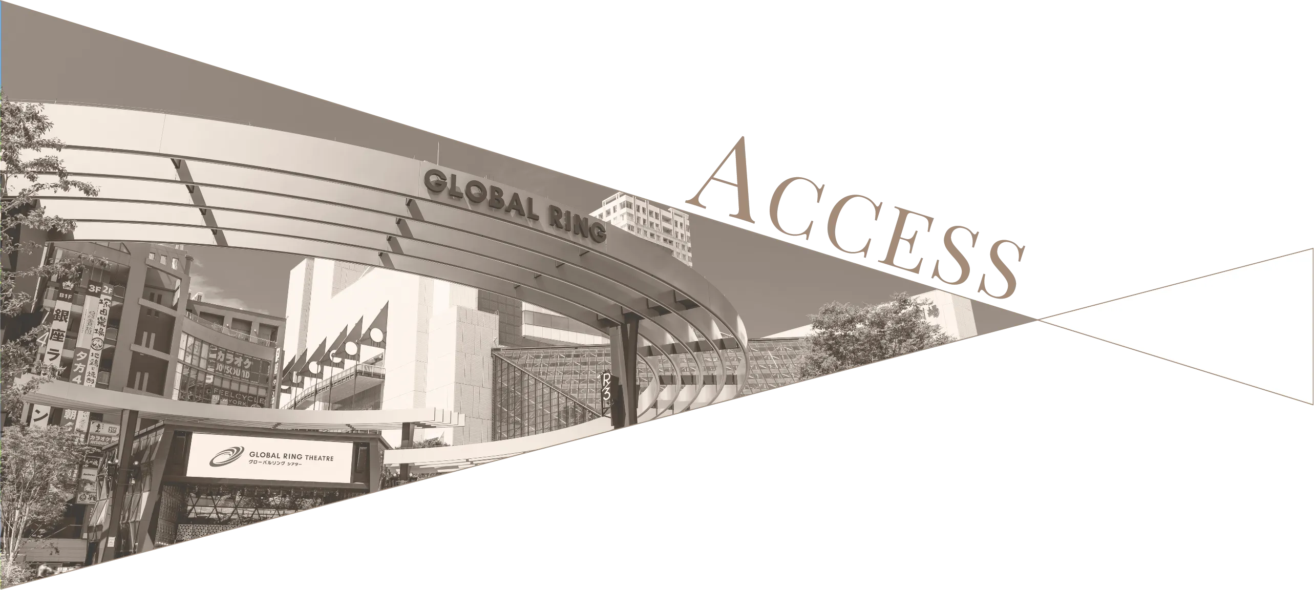 ACCESS